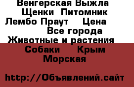 Венгерская Выжла. Щенки. Питомник Лембо Праут. › Цена ­ 35 000 - Все города Животные и растения » Собаки   . Крым,Морская